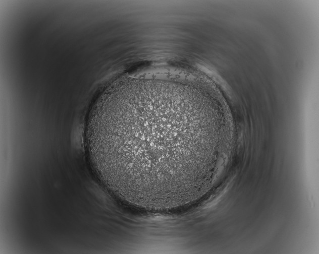 X0000088840585200706141540