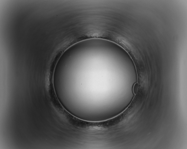 X0000088840586200706141540