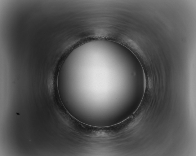 X0000088840588200706141540