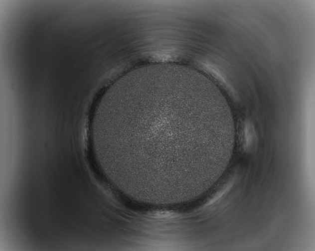 X0000088840590200706141540