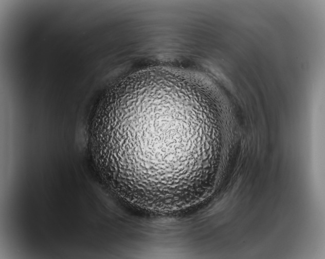 X0000088840593200706141540