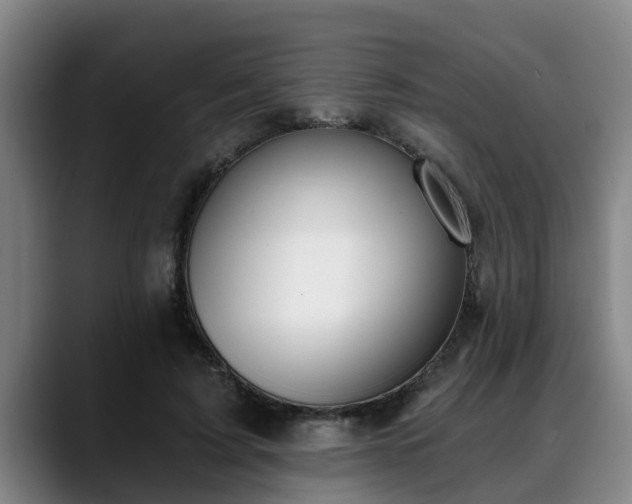 X0000088840595200706141540