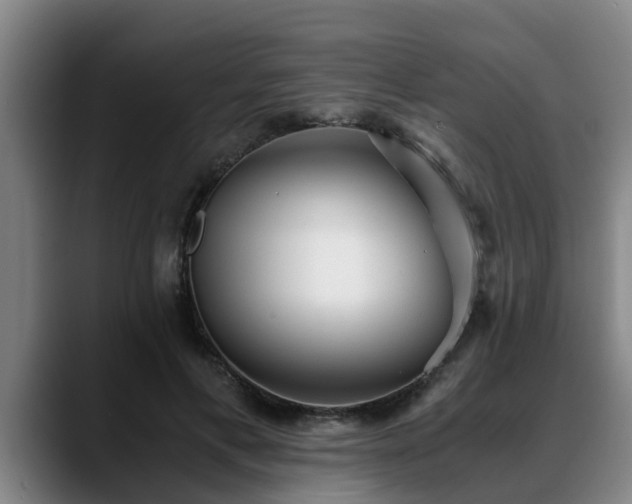 X0000088840597200706141540