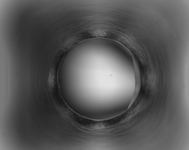 X0000088840600200706141540