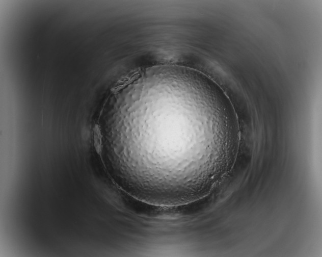 X0000088840601200706141540