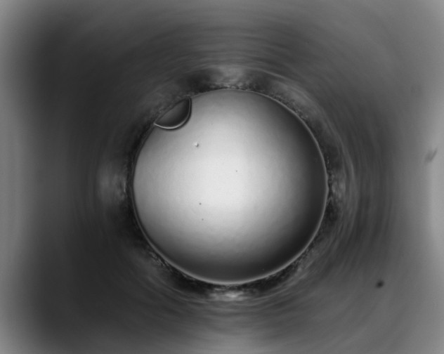 X0000088840602200706141540