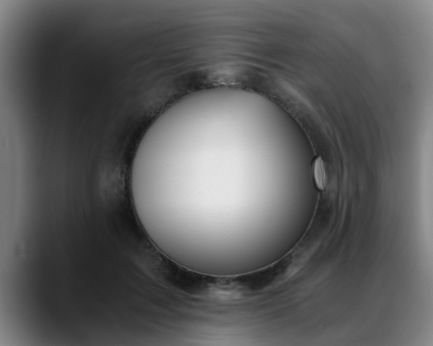 X0000088840603200706141540