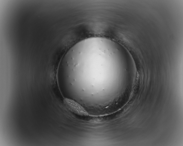 X0000088840609200706141540