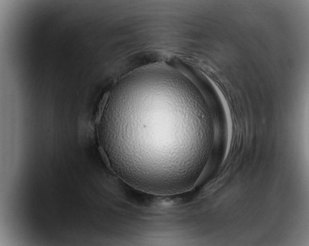 X0000088840613200706141540