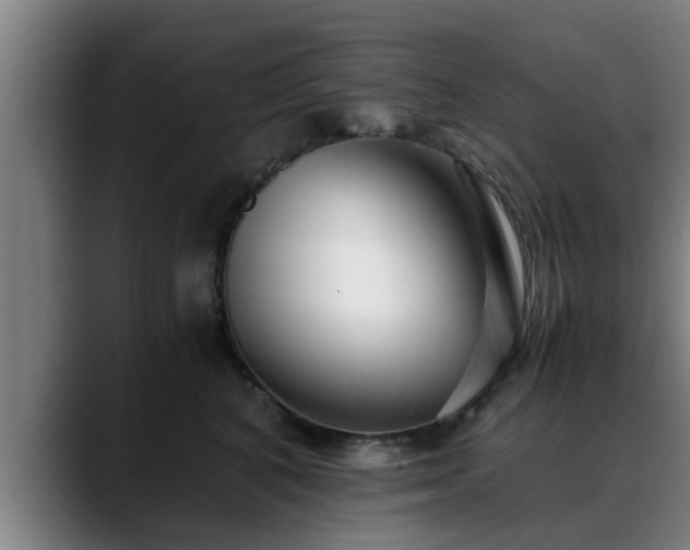 X0000088840616200706141540