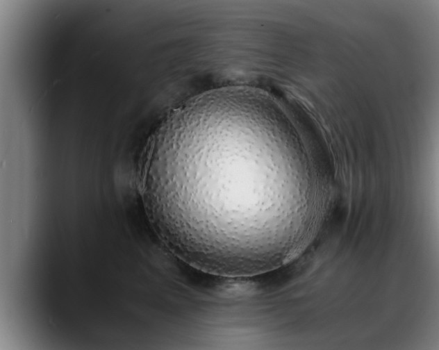 X0000088840617200706141540