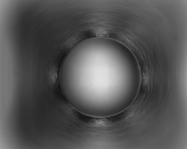 X0000088840618200706141540