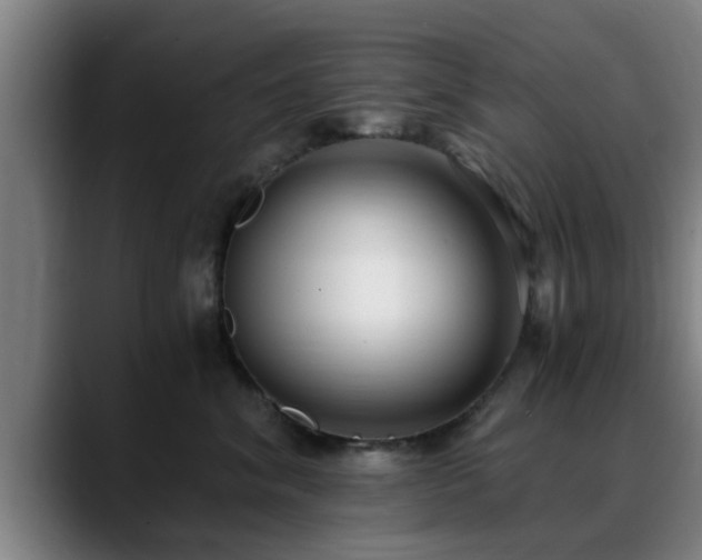 X0000088840620200706141540