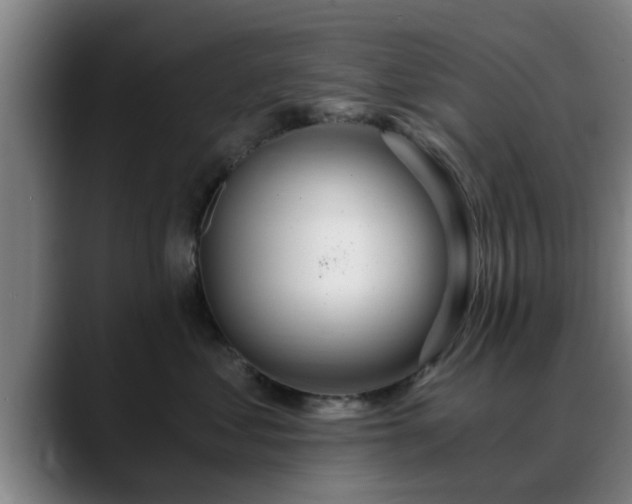 X0000088840621200706141540