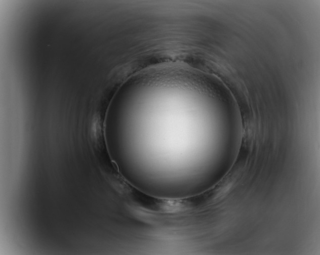 X0000088840623200706141540