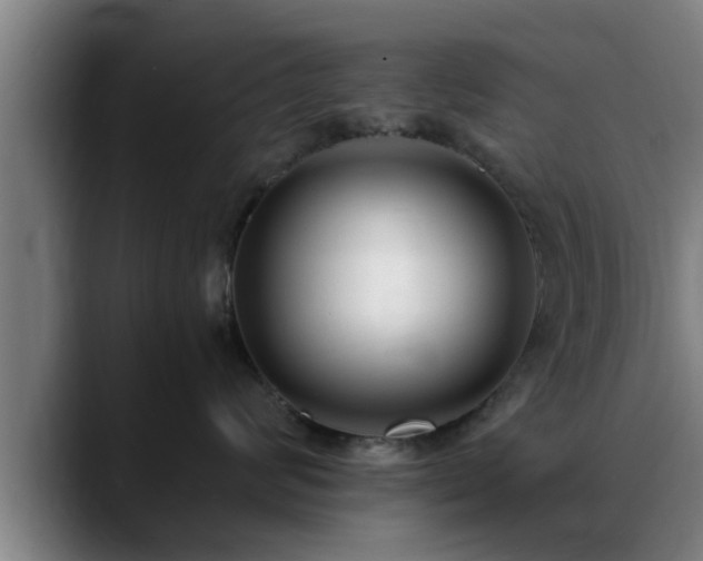 X0000088840624200706141540