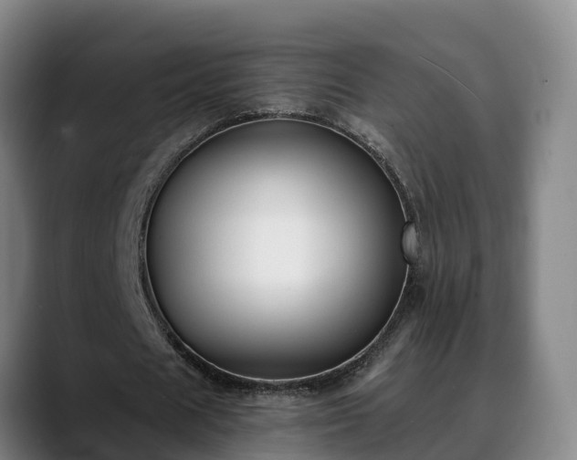 X0000088840625200706141539