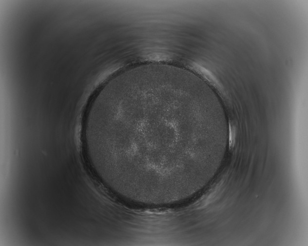 X0000088840627200706141539