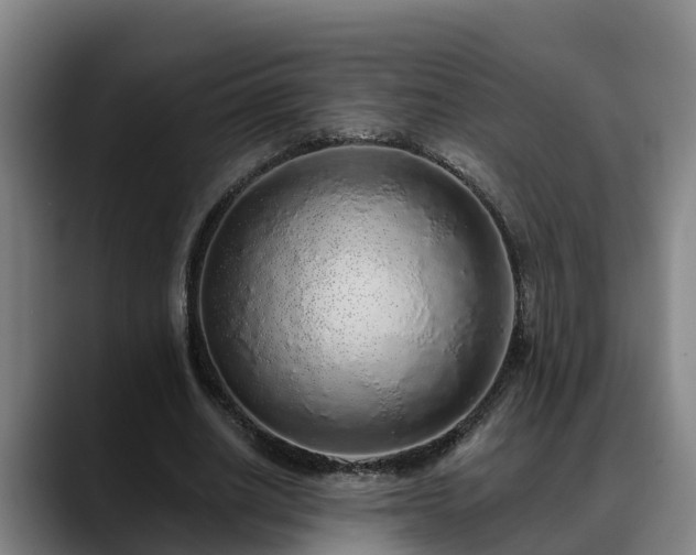 X0000088840630200706141539