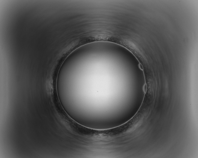 X0000088840634200706141539