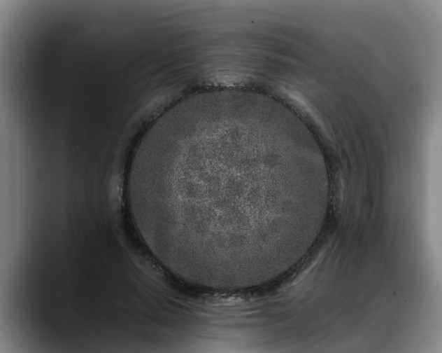 X0000088840640200706141539