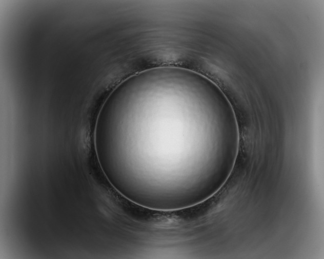 X0000088840642200706141539