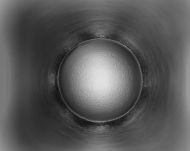 X0000088840646200706141539