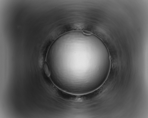 X0000088840647200706141539