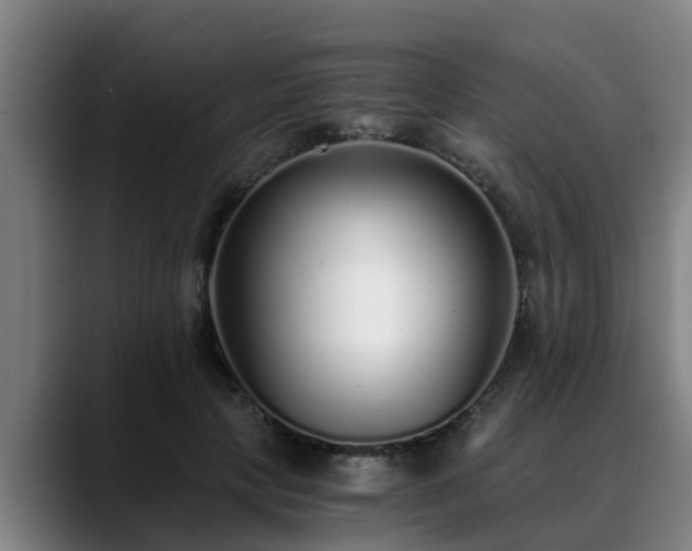 X0000088840649200706141539