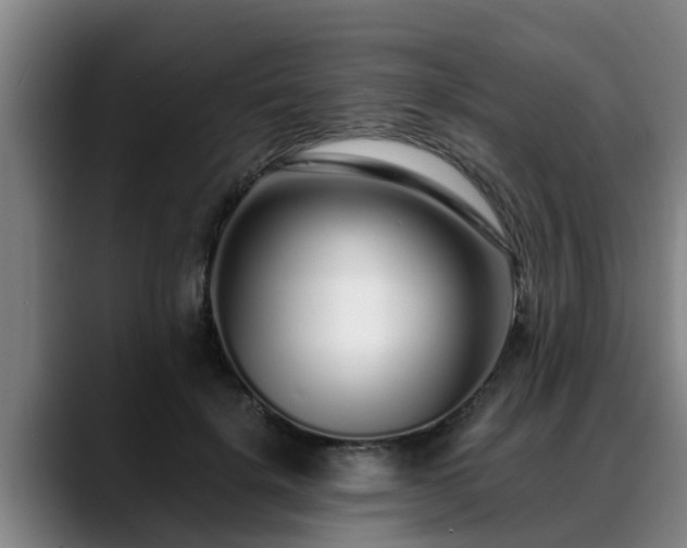 X0000088840652200706141539