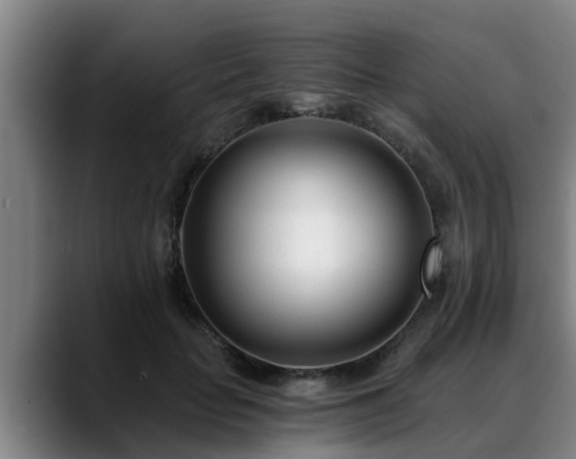 X0000088840653200706141539