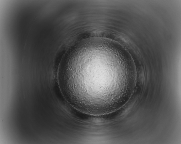 X0000088840654200706141539