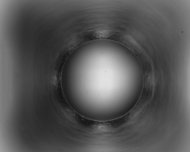 X0000088840655200706141539