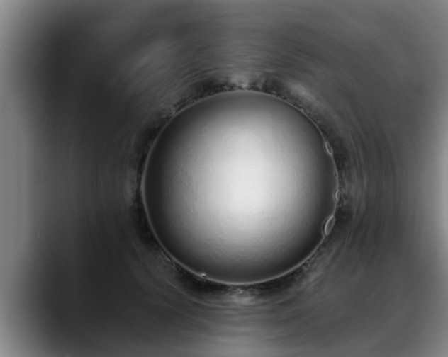 X0000088840656200706141539