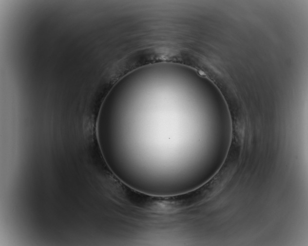 X0000088840657200706141539