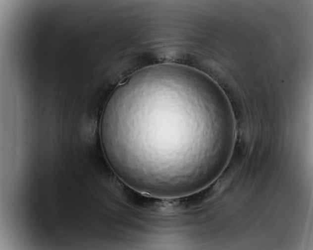 X0000088840660200706141539