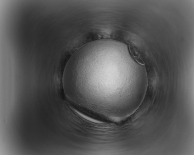 X0000088840661200706141539