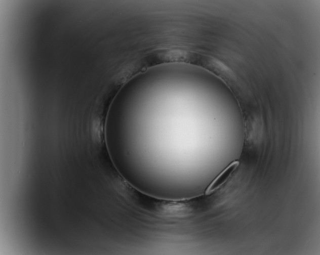 X0000088840669200706141540