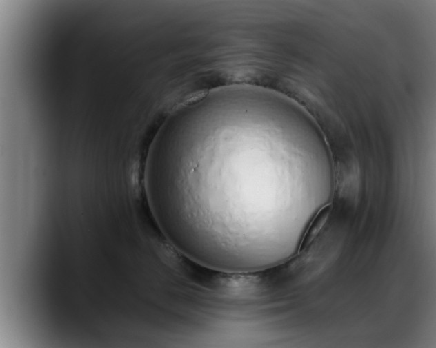 X0000088840670200706141540