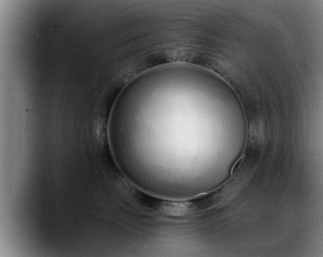 X0000088840671200706141540