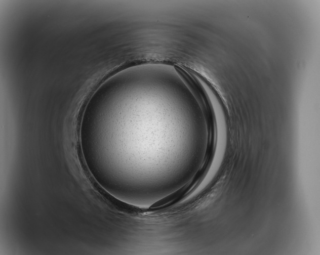 X0000088840673200706141539