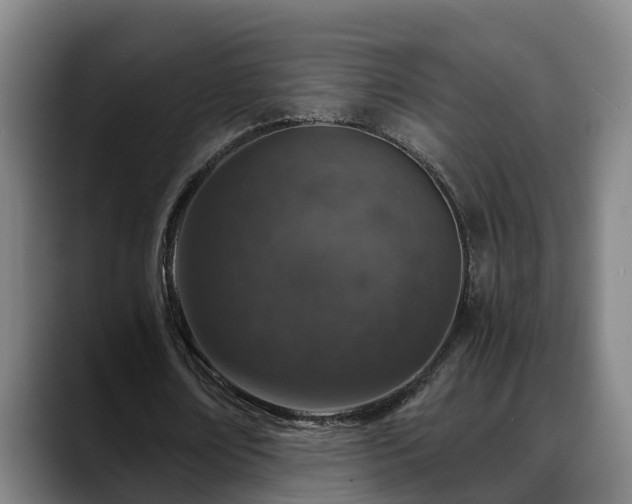 X0000088840674200706141539