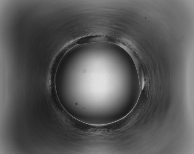 X0000088840676200706141539