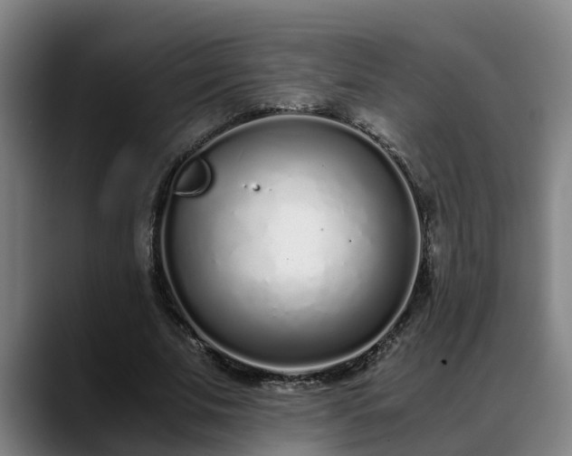 X0000088840679200706141539