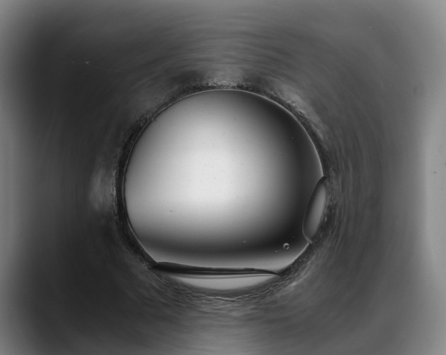 X0000088840681200706141539