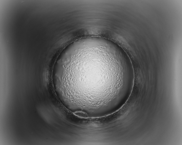 X0000088840683200706141539