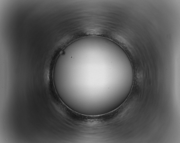 X0000088840686200706141539