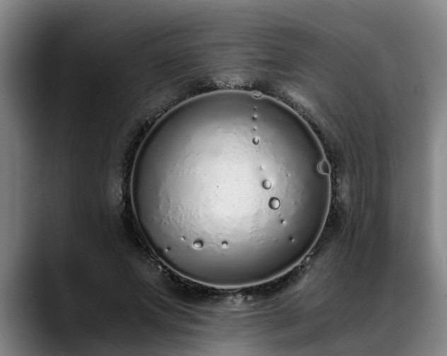 X0000088840687200706141539