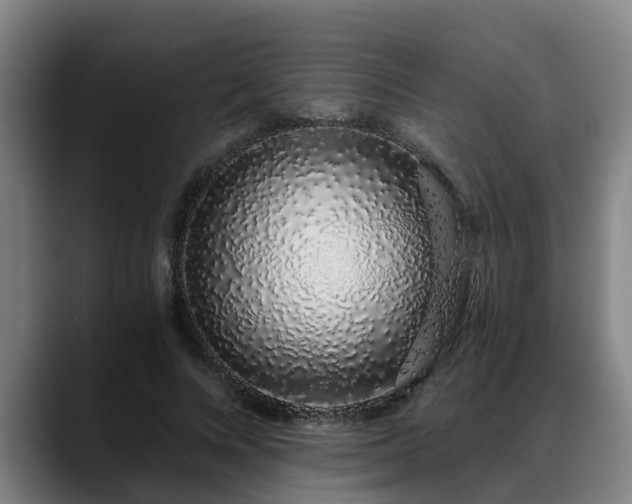 X0000088840688200706141539