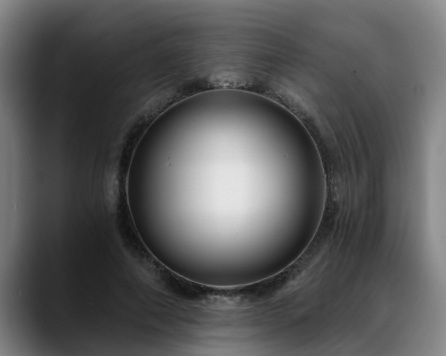 X0000088840690200706141539